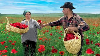 Traditional Azerbaijani Poppy Petal Jam (Gülbeşeker), Open-Fire Mountain Beef Steaks, Traditional Village Nettle and Egg Scramble