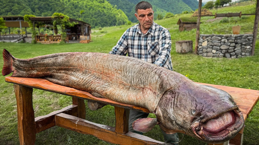 Traditional Azerbaijani Grilled Catfish with Mangal Salad
