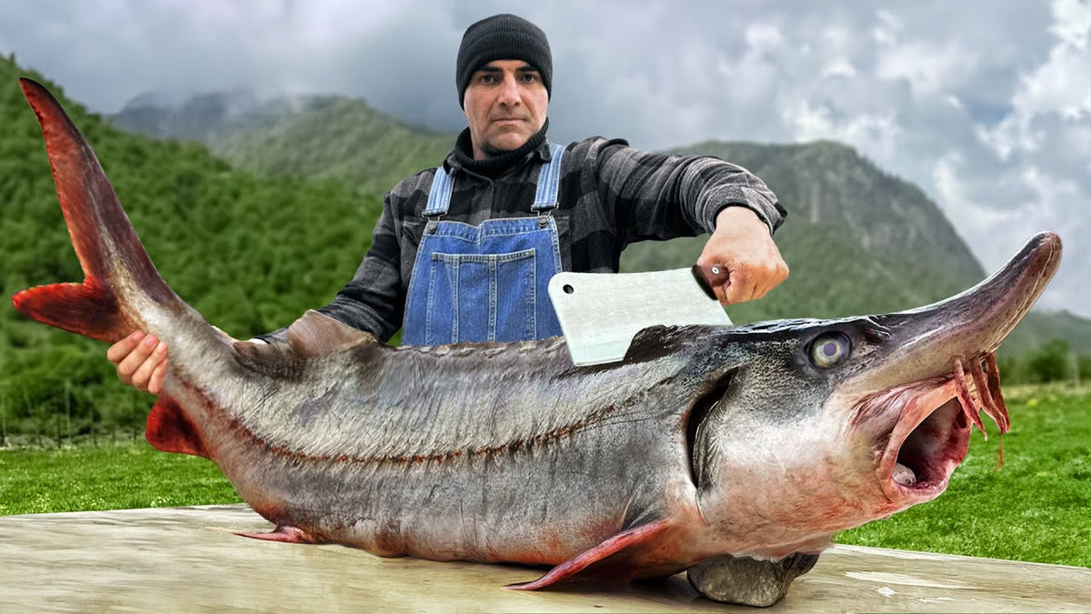 Fish Recipes