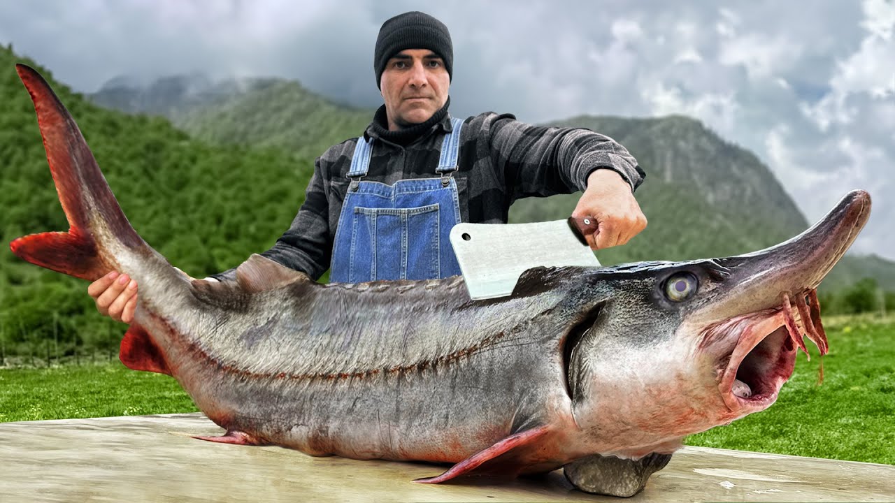 Fish Recipes